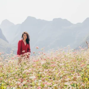 Cao Bang To Ha Giang By Private Car Rental - VNT Travel