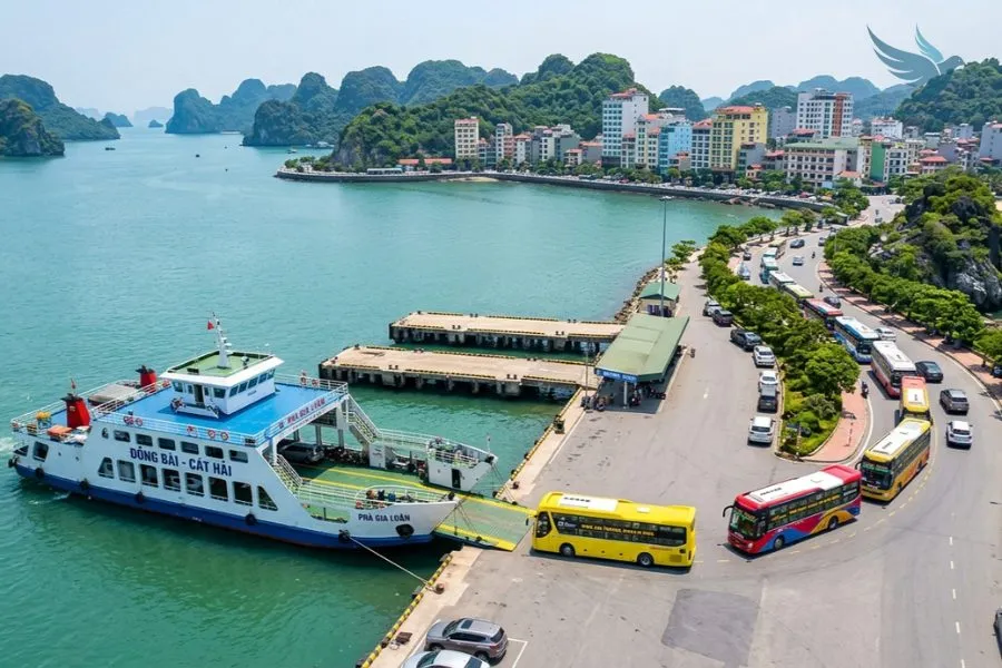 Pu Luong To Cat Ba Island Private Car Rental - VNT Travel