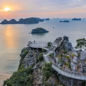 Pu Luong To Cat Ba Island Private Car Rental - VNT Travel