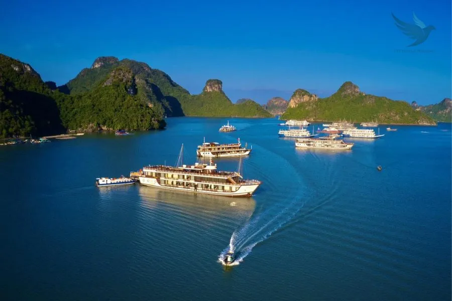 Pu Luong To Cat Ba Island Private Car Transfer - VNT Travel