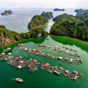 Pu Luong To Cat Ba Island Private Car Transfer - VNT Travel
