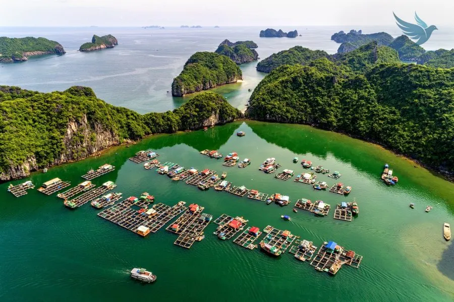 Pu Luong To Cat Ba Island Private Car Transfer - VNT Travel