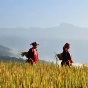 Hanoi To Lo Lo Chai Village Private Car - VNT Private Car