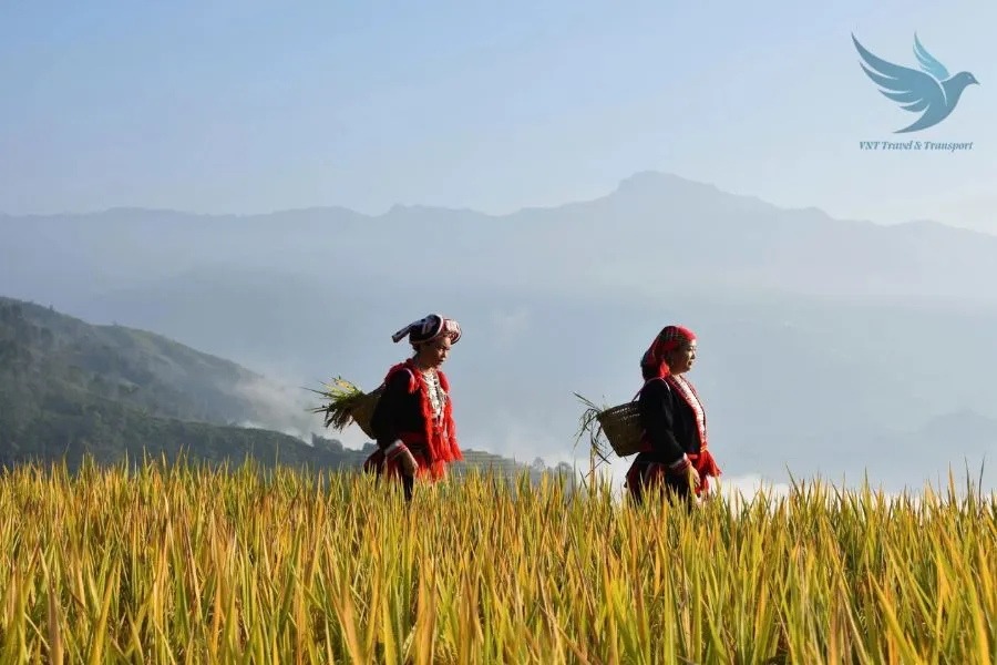 Hanoi To Lo Lo Chai Village Private Car - VNT Private Car