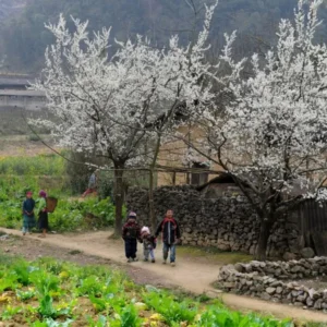 Ninh Binh To Cao Bang Private Car - VNT Private Car