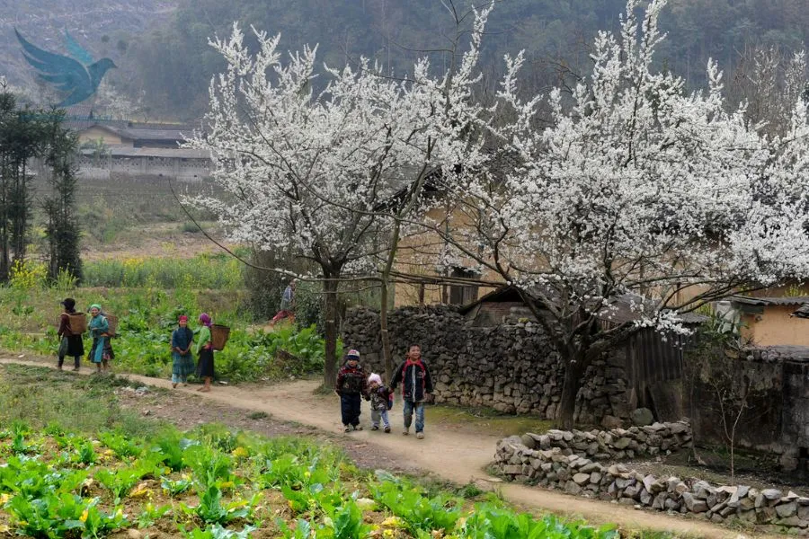 Ninh Binh To Cao Bang Private Car - VNT Private Car