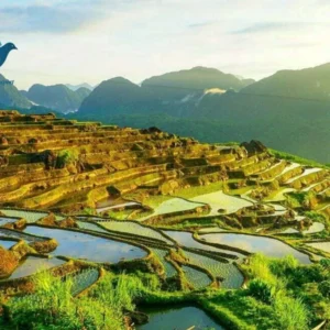 Private car Pu Luong to Moc Chau - VNT Travel & Transport