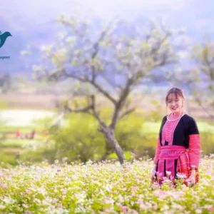 Private car Pu Luong to Moc Chau - VNT Travel & Transport