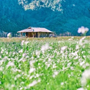 Private car Pu Luong to Moc Chau - VNT Travel & Transport