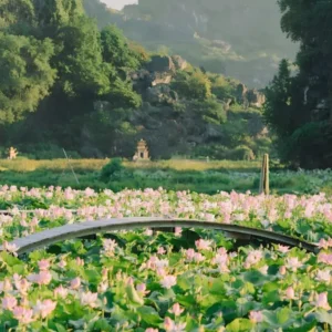 Cao Bang To Ninh Binh By Private Car Rental - VNT Travel