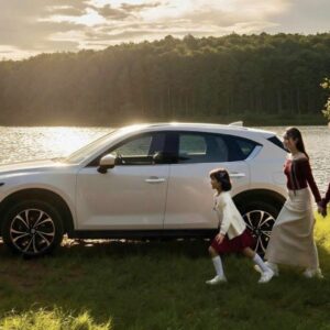 Cao Bang To Ninh Binh By Private Car Transfer - VNT Travel