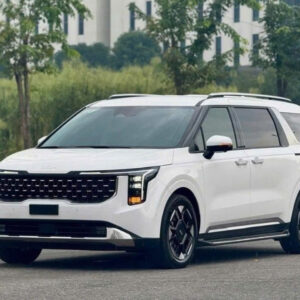 Da Nang To My Son Sanctuary Private Car - VNT TraveL