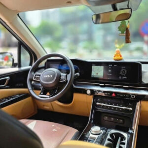 Da Nang To My Son Sanctuary Private Car - VNT TraveL