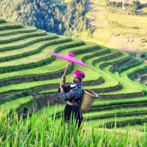 Pu Luong To Mu Cang Chai By Private Car Transfer - VNT Travel