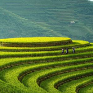 Pu Luong To Mu Cang Chai By Car Transfer - VNT Travel