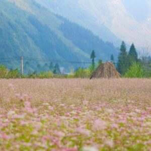 Sapa To Ha Giang By Private Car - VNT Travel