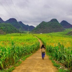 Sapa To Ha Giang By Car - VNT Travel