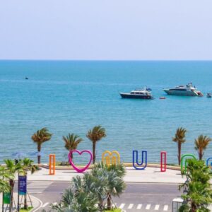 Da Nang To Mui Ne Private Car - VNT Private Car