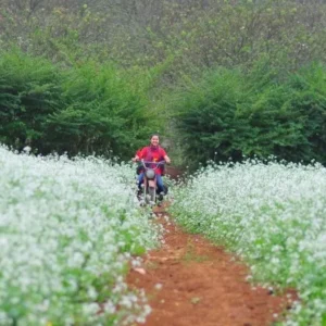 Halong Bay To Moc Chau Private Car - VNT Private Car
