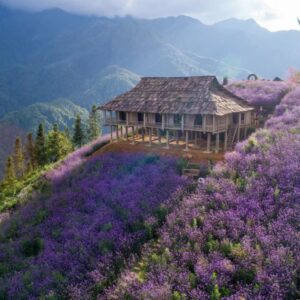 Halong Bay To Sapa Private Car - VNT Private Car