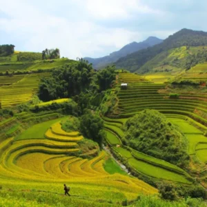 Sapa To Pu Luong By Private Car Transfer - VNT Travel