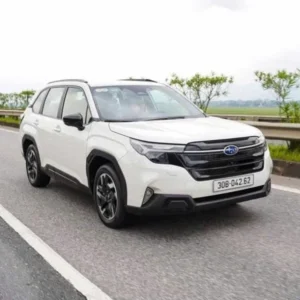 Sapa To Halong Bay Private Car - VNT Private Car