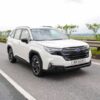 Da Nang to Phu Yen private car - VNT Travel