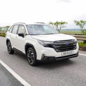 Da Nang to Phu Yen private car - VNT Travel