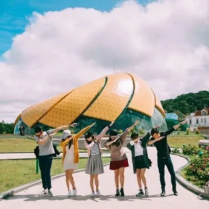 Ho Chi Minh To Dalat Private Car - VNT Private Car