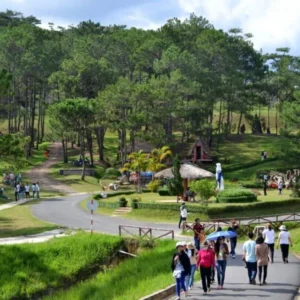 Ho Chi Minh To Dalat Private Car - VNT Private Car