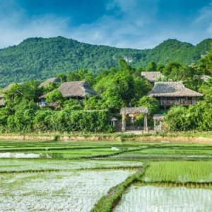Cat Bi Airport To Mai Chau Private Car - VNT Travel