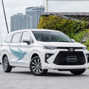 Ho Chi Minh To Can Tho Private Car - VNT Private Car