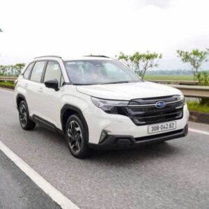 Ho Chi Minh To Cu Chi Tunnels Private Car - VNT Private Car