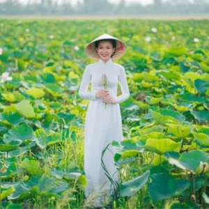 Ho Chi Minh To Dong Thap Private Car - VNT Travel