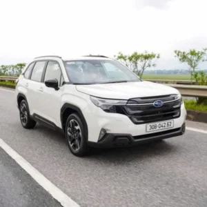 Ho Chi Minh Airport To Ho Tram Private Car - VNT Travel