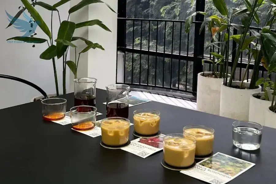 XLIII Specialty Coffee