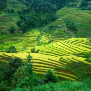 Ninh Binh To Ha Giang By Private Car - VNT Travel