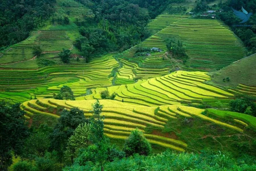 Ninh Binh To Ha Giang By Private Car - VNT Travel