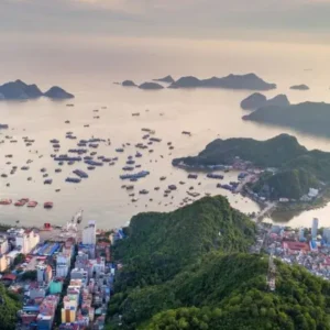 Halong Bay To Cat Ba Island Private Car - VNT Travel