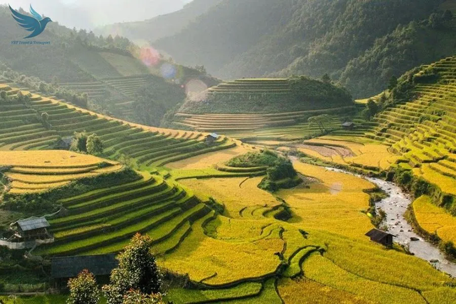 Private Car From Hanoi To Mu Cang Chai - VNT Travel