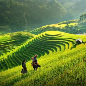 Private Car From Hanoi To Mu Cang Chai - VNT Travel
