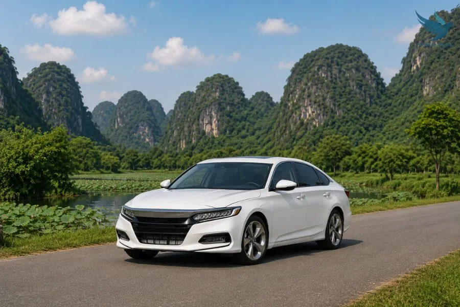 Ninh Binh To Ba Vi National Park By Private Car - VNT Travel
