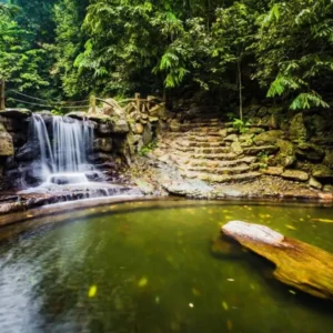 Ninh Binh To Ba Vi National Park Private Car Transfer - VNT Travel