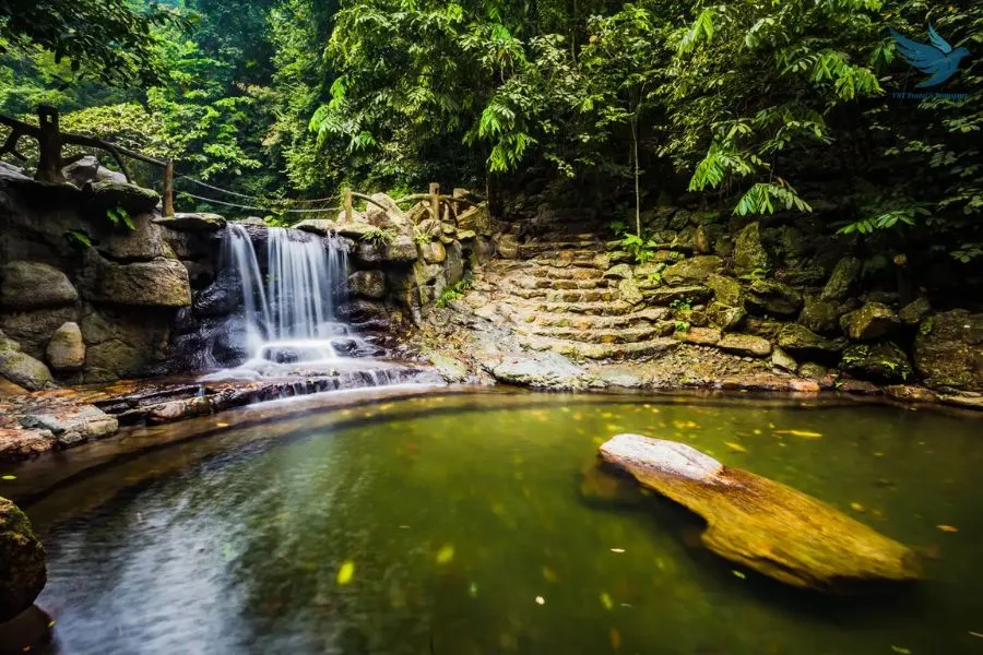 Ninh Binh To Ba Vi National Park Private Car Transfer - VNT Travel