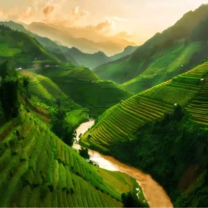 Transfer From Ninh Binh To Sapa By Private Car - VNT Travel