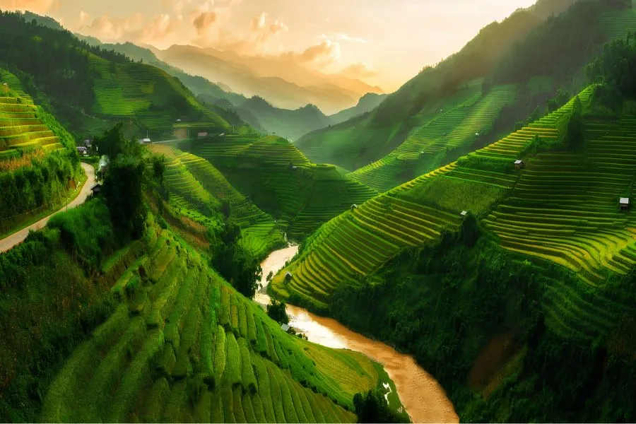 Transfer From Ninh Binh To Sapa By Private Car - VNT Travel